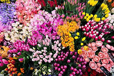 《星空》有复杂的浪漫关系 玩家可与同伴谈恋爱